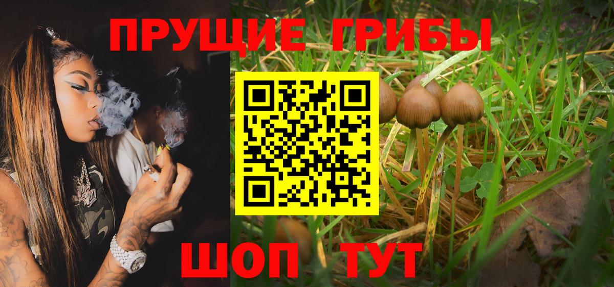 Псилоцибиновые грибы GOLDEN TEACHER Красноуфимск
